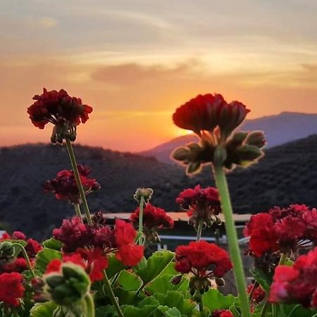 Fuentes de Cesna Cortijo Chaparro Near Iznajar 빌라 외부 사진