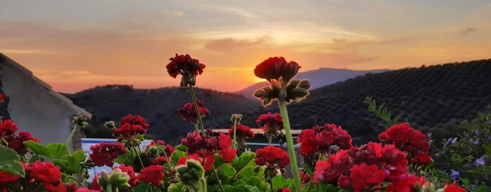 Fuentes de Cesna Cortijo Chaparro Near Iznajar 빌라 외부 사진